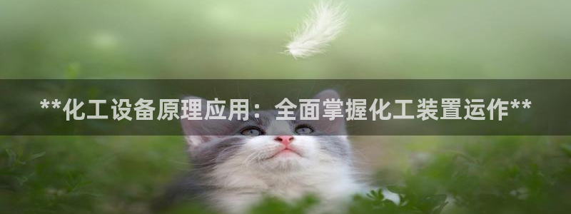 新宝gg创造奇迹官方登录