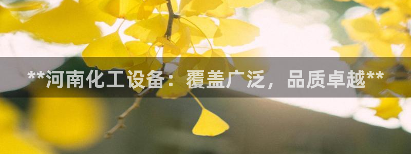 新宝gg案件