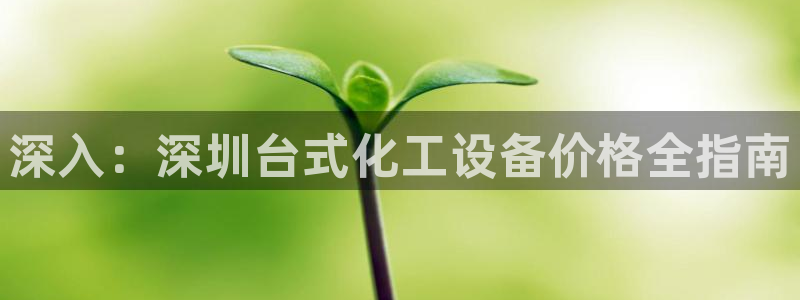 新宝gg平台登录手机版
