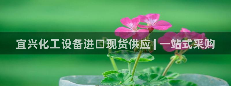 新宝gg创造奇迹平台登录入口