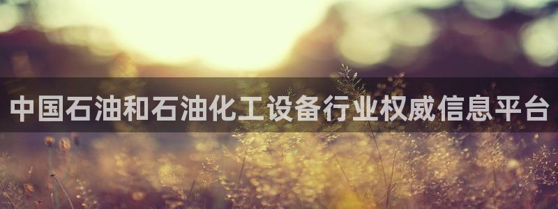 新宝gg怎么登录不了了
