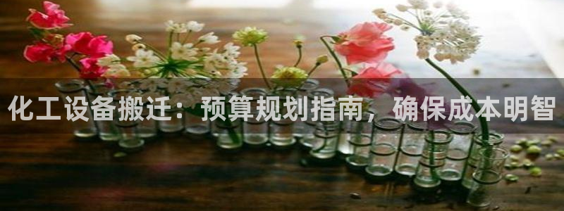 新宝gg登录了还能上吗