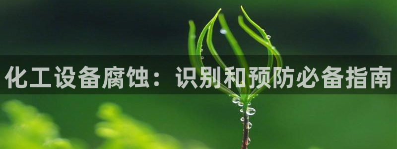 新宝gg登录入口