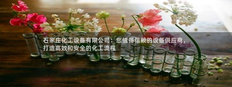 新宝gg真的能赚钱么：石家庄化工设备有限公司：您值