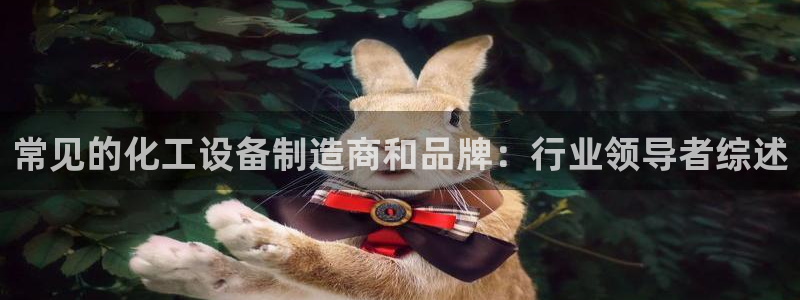 新宝gg平台注册登录指南