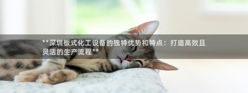新宝gg是合法的吗