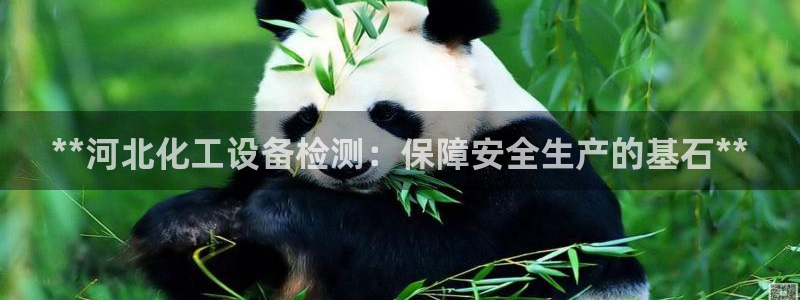 新宝gg创造奇迹登录入口：**河北化工设备检测：保障安全生产