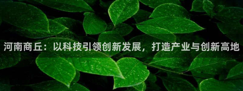 新宝gg被抓：河南商丘：以科技引领创新发展，打造产