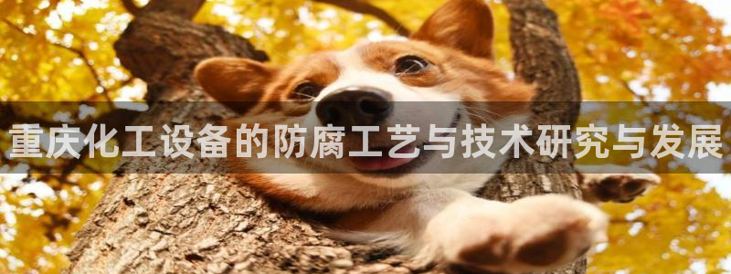 新宝gg创造奇迹官方登录入xb：重庆化工设备的防腐