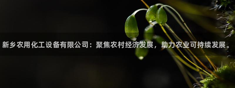 新宝gg—创造奇迹官网登录