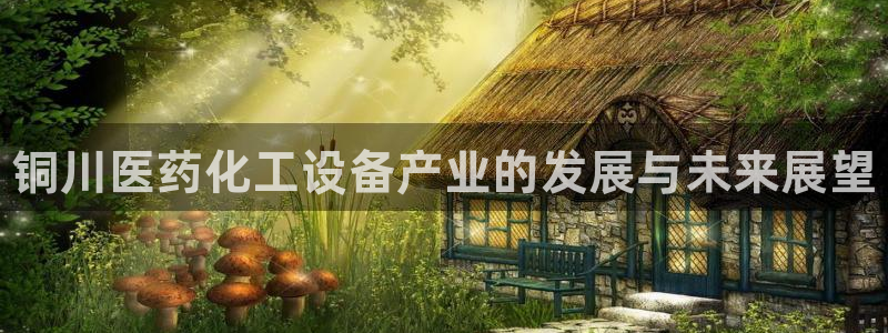 新宝gg登录不上去了了