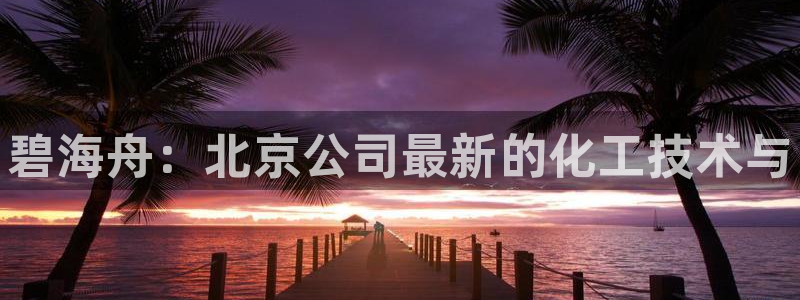 新宝gg最简单登录方法