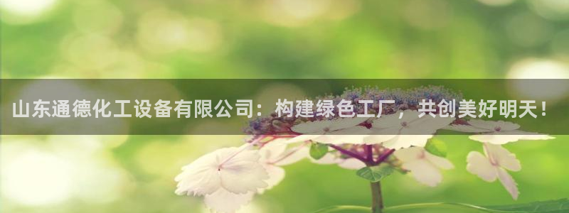 新宝gg怎么登录不了了：山东通德化工设备有限公司：